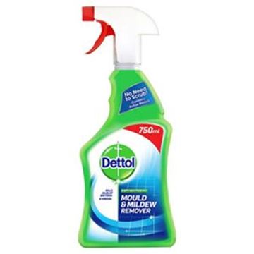 DETTOL MOULD & MILDEW TRIGGER