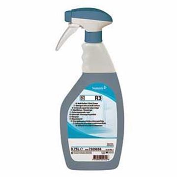 R3 GLASS/SS CLEANER