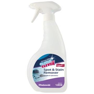 Clean and Clever Spot and Stain Remover 750ml Trigger Bottle