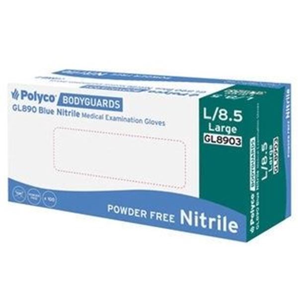 P/FREE NITRILE GLOVE BLUE - LARGE